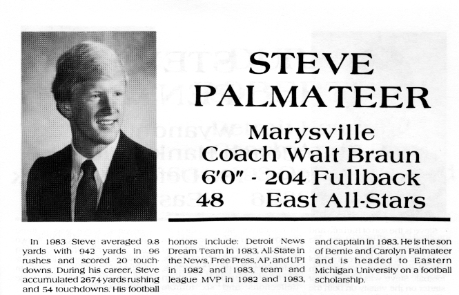 Palmateer, Steve